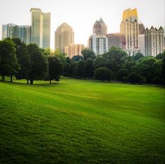 a grassy field with trees and buildings in the background