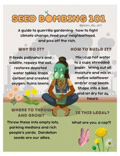 a poster with instructions on how to grow and use plants for seeding in the garden