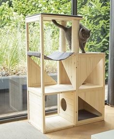 a cat standing on top of a wooden shelf