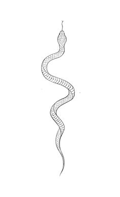 a black and white drawing of a snake with its tail curled in the shape of a spiral