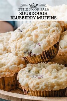 some blueberry muffins are on a plate with the words little spoon farm sourdough blueberry muffins