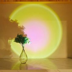 a vase filled with flowers sitting on top of a white floor next to a wall