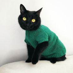 a black cat wearing a green sweater sitting on top of a white pillow and looking at the camera