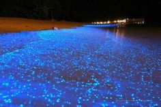 blue lights are shining on the ground at night