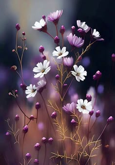 some purple and white flowers are in the grass