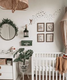 a white crib in a nursery with pictures on the wall and a potted plant