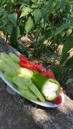 a plate full of vegetables sitting on top of a rock