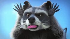 a raccoon sticking its tongue out with it's hands on top of his head