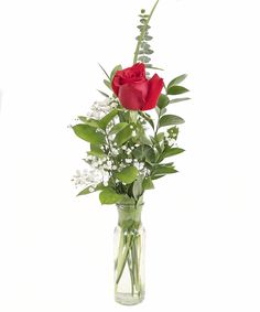 two red roses in a vase with baby's breath and greenery on the side