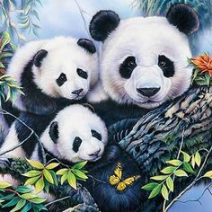 three panda bears sitting on top of a tree branch with leaves and flowers around them