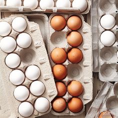 several eggs in cartons on the ground