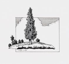 a black and white drawing of a tree on an island with trees in the background