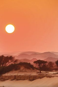 the sun is setting over some trees and sand dunes in the distance, with mountains in the background