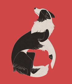 a black and white dog sitting on top of a red background with the letter g