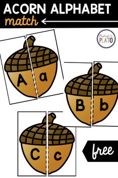 an acorn alphabet match is shown with pictures