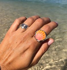 Seashell Rings, Shell Rings, Seashell Ring, No Ordinary Girl, Sunrise Shell, Seashell Jewelry