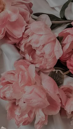 some pink flowers are laying on a white sheet