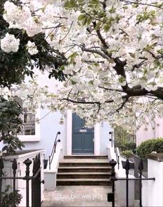 stairs leading up to the front door of a house with white flowers on trees in bloom