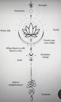 an image of a diagram with different things in the center and symbols around it, including water lily