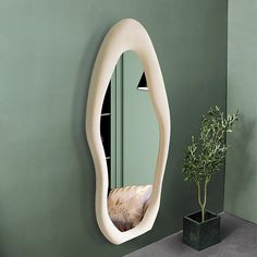 a mirror that is on the wall next to a pot with a plant in it