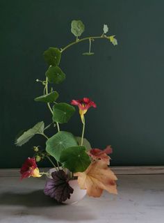 a vase filled with flowers on top of a table next to a green painted wall