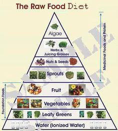 the raw food pyramid is shown in this graphic above it's description, which includes different types of fruits and vegetables