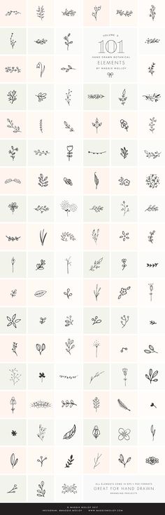 the different types of flowers are shown in black and white