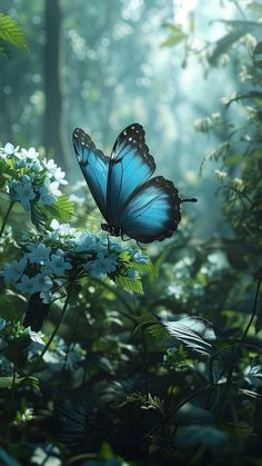 a blue butterfly flying over some white flowers