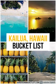 hawaii bucket list with pineapples and water