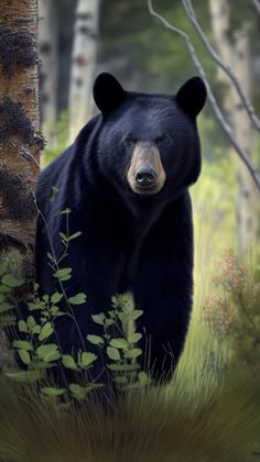 a black bear standing next to a tree in a forest with tall grass and trees