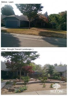 before and after photos of a front yard landscaping project