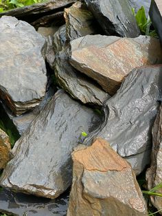 some rocks and water in the grass