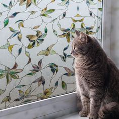 a cat sitting on a window sill next to a stained glass paneled window