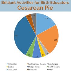 the pie chart shows that there are many different types of children's education