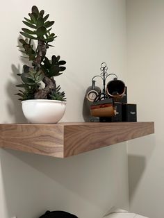 a potted plant sitting on top of a wooden shelf next to a white toilet