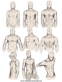 the human figure is shown in several different positions, including shoulders and chestes with no shirt on