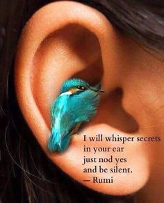 a close up of a person's ear with a blue bird on top of it