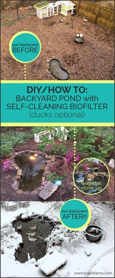 the backyard pond with self - watering bioifier is shown in two different pictures, and there are instructions for how to build it