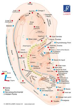 Healing Reflexology, Ear Reflexology, Ear Seeds, Ear Acupuncture, Acupressure Therapy, Acupuncture Points, Acupressure Points, Laser Therapy