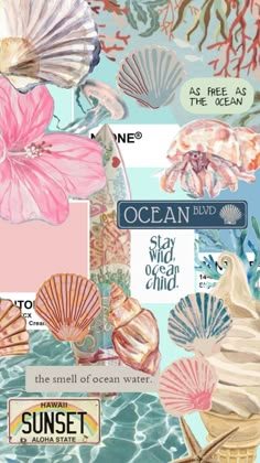 an ocean themed collage with seashells, shells and other marine life in pastel colors