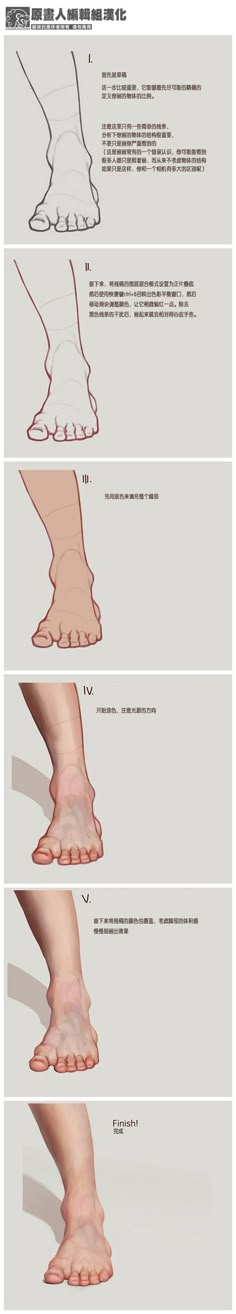 the different types of feet are shown in this graphic diagram, which shows how each foot is