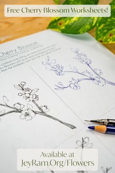 the free cherry blossom worksheets are available at jekyram org / flowers