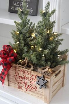 a small christmas tree in a wooden crate