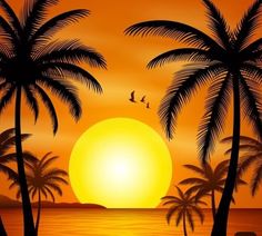 a sunset with palm trees and birds flying in the sky