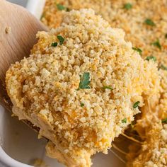 a casserole dish with breaded chicken and parmesan crumbs