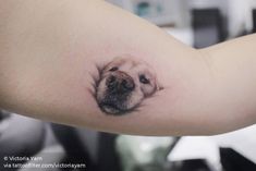 a small dog's face is shown on the right arm and behind its head