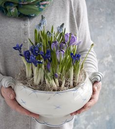 a person holding a white bowl with purple flowers in it and grass growing out of the bottom