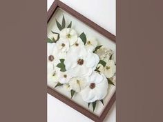 white flowers are in a shadow box with green leaves on the bottom and brown trim