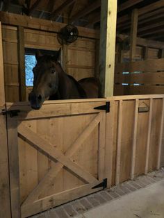 a brown horse sticking its head over the top of a wooden gate in an enclosed area