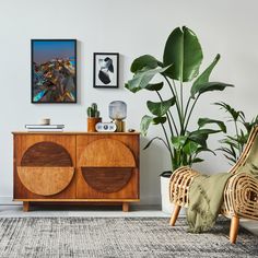 a living room with plants and pictures on the wall